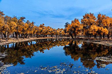 《战场的赋格曲2》上架Steam 暂不支持中文2023年发售